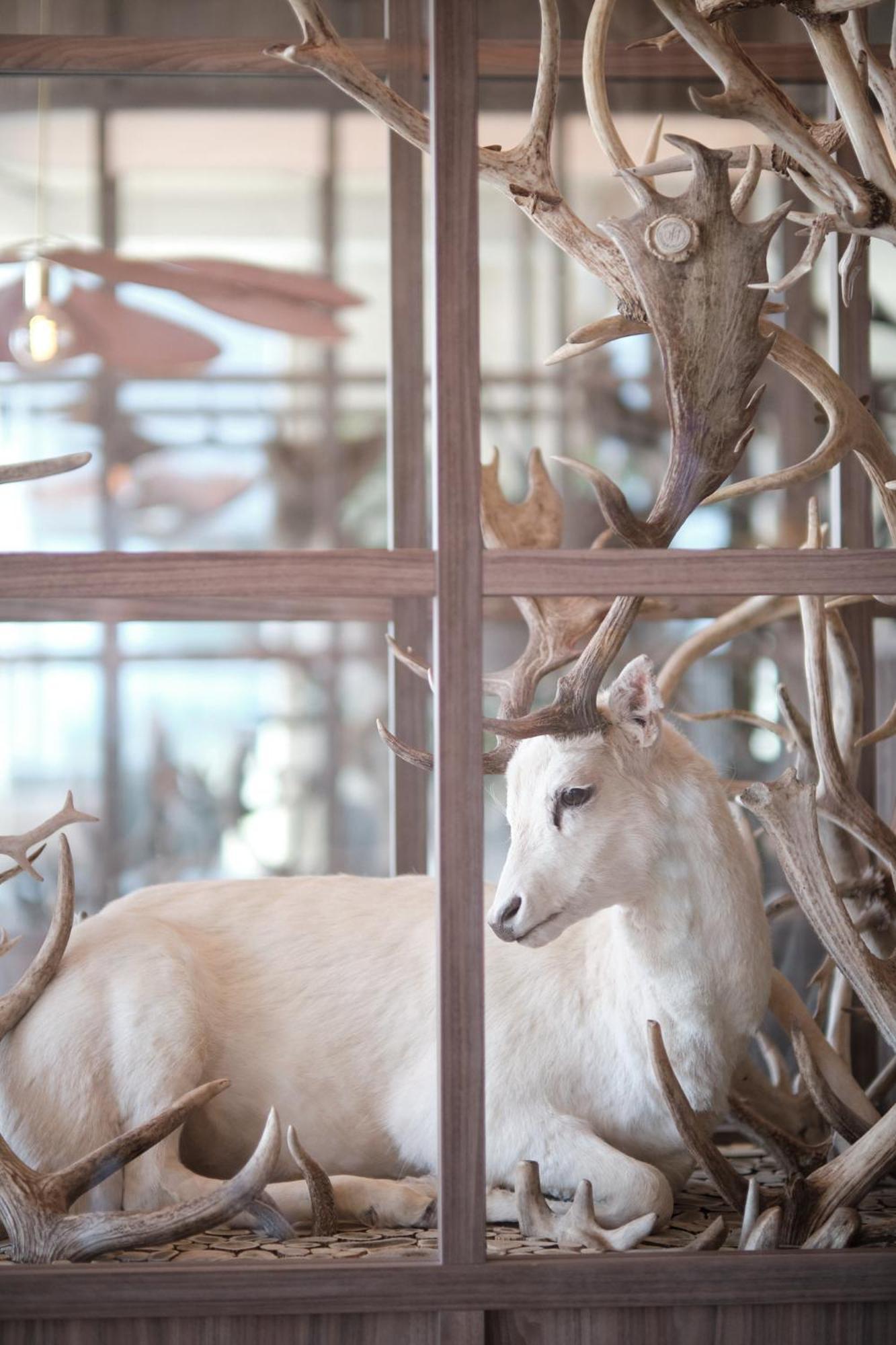 Boutique Hotel Blendin Bloemendaal Aan Zee מראה חיצוני תמונה